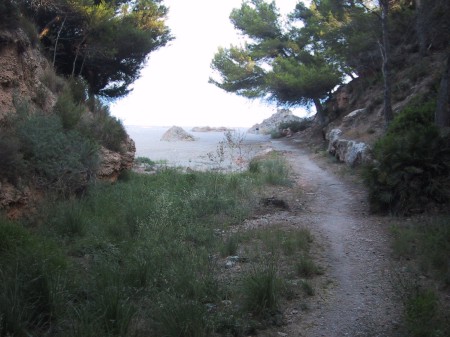 The beach seen from the underpass from the plot.