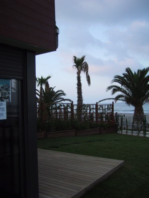 Utsikt fra bygget mot stranden Crystal Beach.
